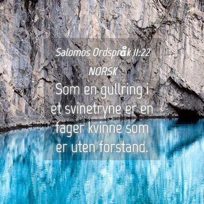 Picture 04 - Salomos Ordspråk 11:22 NORSK - Som en gullring i et svinetryne er en fager - Bible Verse Picture