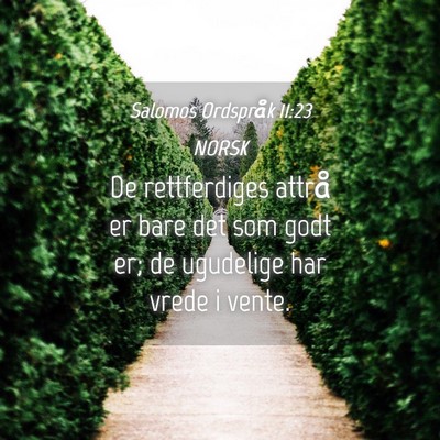 Picture 04 - Salomos Ordspråk 11:23 NORSK - De rettferdiges attrå er bare det som godt er; - Bible Verse Picture
