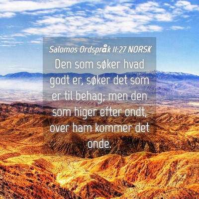Picture 04 - Salomos Ordspråk 11:27 NORSK - Den som søker hvad godt er, søker det som er - Bible Verse Picture