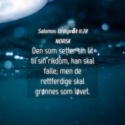 Picture 04 - Salomos Ordspråk 11:28 NORSK - Den som setter sin lit til sin rikdom, han skal - Bible Verse Picture