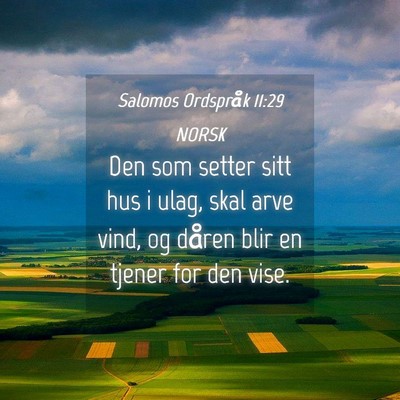 Picture 04 - Salomos Ordspråk 11:29 NORSK - Den som setter sitt hus i ulag, skal arve vind, - Bible Verse Picture