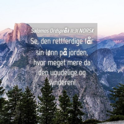 Picture 04 - Salomos Ordspråk 11:31 NORSK - Se, den rettferdige får sin lønn på jorden, - Bible Verse Picture