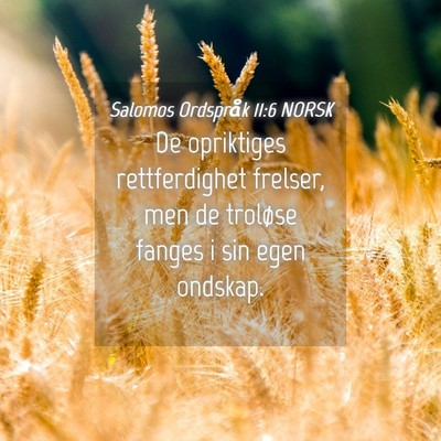 Picture 04 - Salomos Ordspråk 11:6 NORSK - De opriktiges rettferdighet frelser, men de - Bible Verse Picture