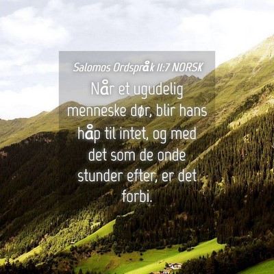 Picture 04 - Salomos Ordspråk 11:7 NORSK - Når et ugudelig menneske dør, blir hans håp - Bible Verse Picture