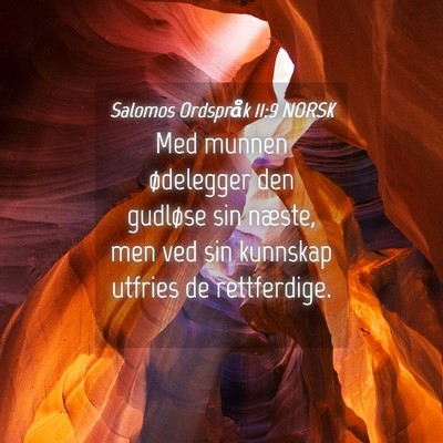 Picture 04 - Salomos Ordspråk 11:9 NORSK - Med munnen ødelegger den gudløse sin næste, - Bible Verse Picture