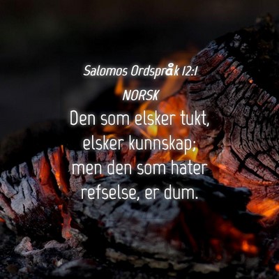 Picture 04 - Salomos Ordspråk 12:1 NORSK - Den som elsker tukt, elsker kunnskap; men den som - Bible Verse Picture