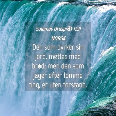 Picture 04 - Salomos Ordspråk 12:11 NORSK - Den som dyrker sin jord, mettes med brød; men - Bible Verse Picture