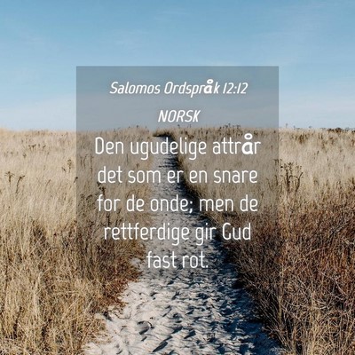 Picture 04 - Salomos Ordspråk 12:12 NORSK - Den ugudelige attrår det som er en snare for de - Bible Verse Picture