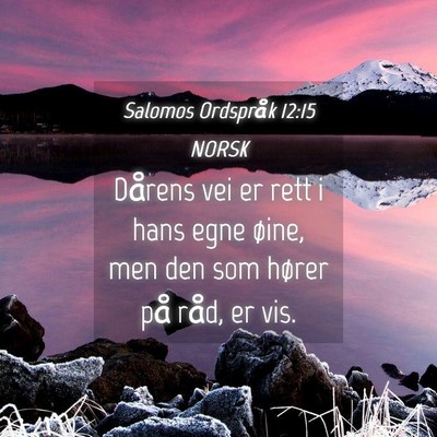 Picture 04 - Salomos Ordspråk 12:15 NORSK - Dårens vei er rett i hans egne øine, men den - Bible Verse Picture