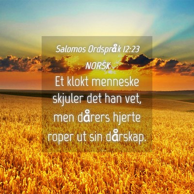 Picture 04 - Salomos Ordspråk 12:23 NORSK - Et klokt menneske skjuler det han vet, men - Bible Verse Picture