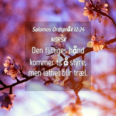 Picture 04 - Salomos Ordspråk 12:24 NORSK - Den flittiges hånd kommer til å styre, men - Bible Verse Picture