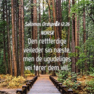 Picture 04 - Salomos Ordspråk 12:26 NORSK - Den rettferdige veileder sin næste, men de - Bible Verse Picture