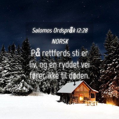 Picture 04 - Salomos Ordspråk 12:28 NORSK - På rettferds sti er liv, og en ryddet vei fører - Bible Verse Picture