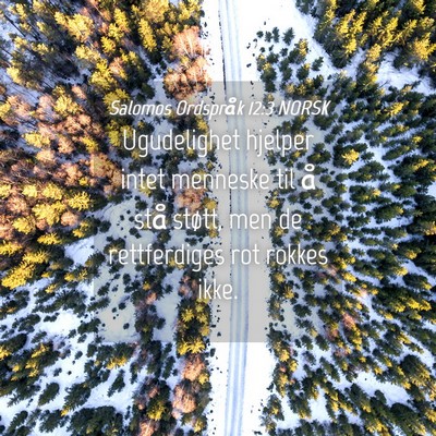 Picture 04 - Salomos Ordspråk 12:3 NORSK - Ugudelighet hjelper intet menneske til å stå - Bible Verse Picture