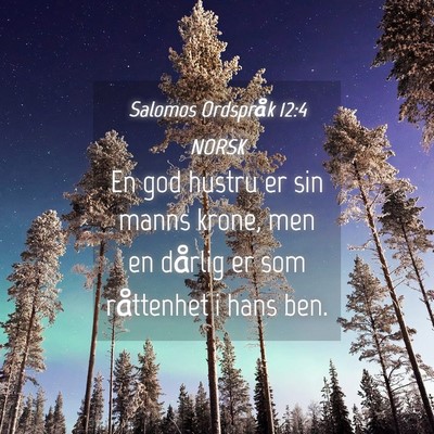 Picture 04 - Salomos Ordspråk 12:4 NORSK - En god hustru er sin manns krone, men en dårlig - Bible Verse Picture