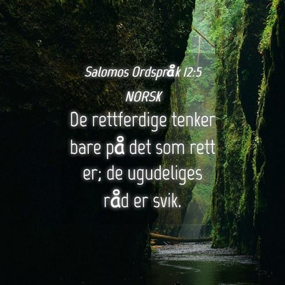 Picture 04 - Salomos Ordspråk 12:5 NORSK - De rettferdige tenker bare på det som rett er; - Bible Verse Picture