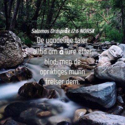 Picture 04 - Salomos Ordspråk 12:6 NORSK - De ugudelige taler alltid om å lure efter blod, - Bible Verse Picture