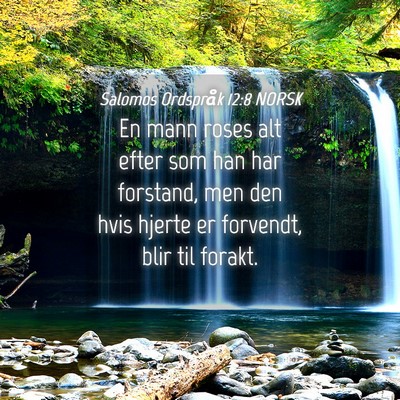 Picture 04 - Salomos Ordspråk 12:8 NORSK - En mann roses alt efter som han har forstand, men - Bible Verse Picture