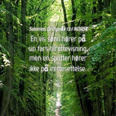 Picture 04 - Salomos Ordspråk 13:1 NORSK - En vis sønn hører på sin fars tilrettevisning, - Bible Verse Picture