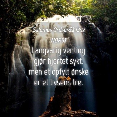 Picture 04 - Salomos Ordspråk 13:12 NORSK - Langvarig venting gjør hjertet sykt, men et - Bible Verse Picture