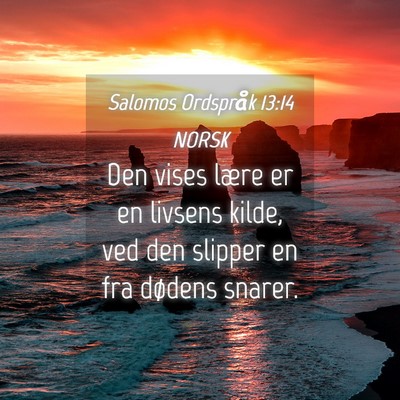Picture 04 - Salomos Ordspråk 13:14 NORSK - Den vises lære er en livsens kilde, ved den - Bible Verse Picture