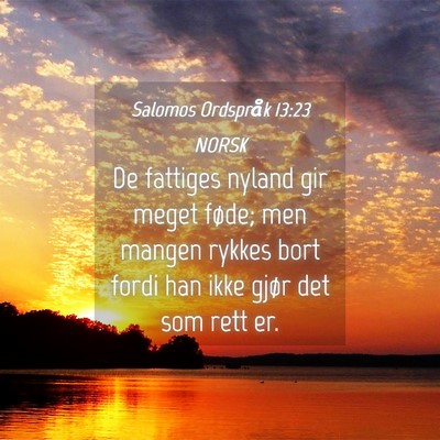Picture 04 - Salomos Ordspråk 13:23 NORSK - De fattiges nyland gir meget føde; men mangen - Bible Verse Picture