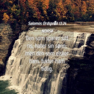 Picture 04 - Salomos Ordspråk 13:24 NORSK - Den som sparer sitt ris, hater sin sønn; men den - Bible Verse Picture