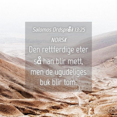 Picture 04 - Salomos Ordspråk 13:25 NORSK - Den rettferdige eter så han blir mett, men de - Bible Verse Picture