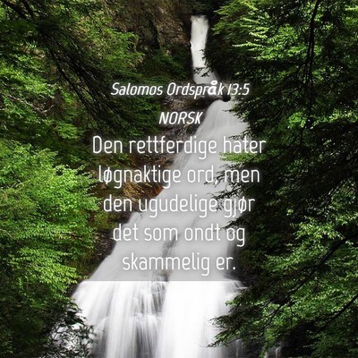 Picture 04 - Salomos Ordspråk 13:5 NORSK - Den rettferdige hater løgnaktige ord, men den - Bible Verse Picture