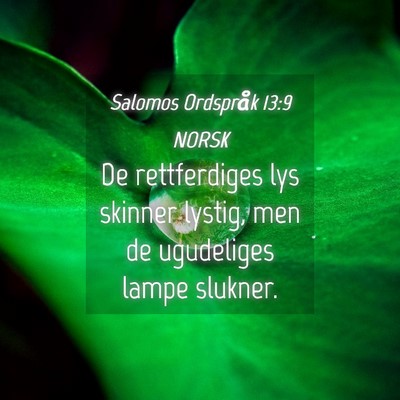 Picture 04 - Salomos Ordspråk 13:9 NORSK - De rettferdiges lys skinner lystig, men de - Bible Verse Picture
