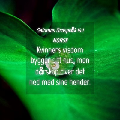 Picture 04 - Salomos Ordspråk 14:1 NORSK - Kvinners visdom bygger sitt hus, men dårskap - Bible Verse Picture
