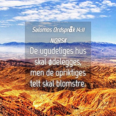 Picture 04 - Salomos Ordspråk 14:11 NORSK - De ugudeliges hus skal ødelegges, men de - Bible Verse Picture