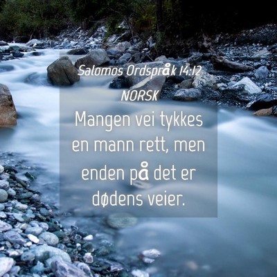 Picture 04 - Salomos Ordspråk 14:12 NORSK - Mangen vei tykkes en mann rett, men enden på det - Bible Verse Picture