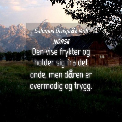 Picture 04 - Salomos Ordspråk 14:16 NORSK - Den vise frykter og holder sig fra det onde, men - Bible Verse Picture