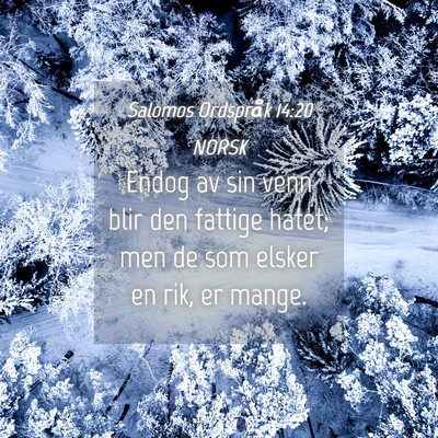 Picture 04 - Salomos Ordspråk 14:20 NORSK - Endog av sin venn blir den fattige hatet; men de - Bible Verse Picture