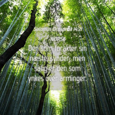 Picture 04 - Salomos Ordspråk 14:21 NORSK - Den som forakter sin næste, synder; men salig er - Bible Verse Picture