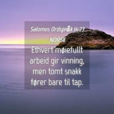 Picture 04 - Salomos Ordspråk 14:23 NORSK - Ethvert møiefullt arbeid gir vinning, men tomt - Bible Verse Picture