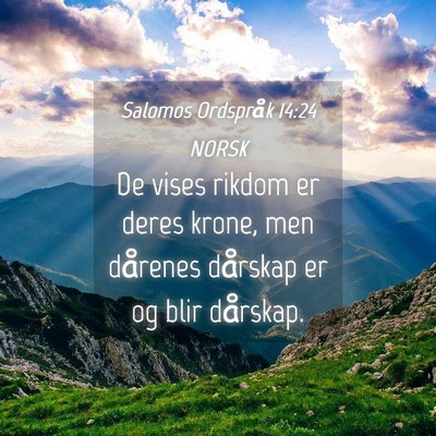 Picture 04 - Salomos Ordspråk 14:24 NORSK - De vises rikdom er deres krone, men dårenes - Bible Verse Picture