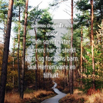 Picture 04 - Salomos Ordspråk 14:26 NORSK - Den som frykter Herren, har et sterkt vern, og - Bible Verse Picture