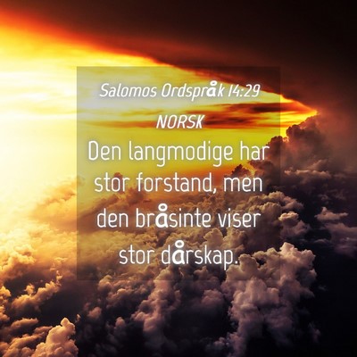 Picture 04 - Salomos Ordspråk 14:29 NORSK - Den langmodige har stor forstand, men den - Bible Verse Picture