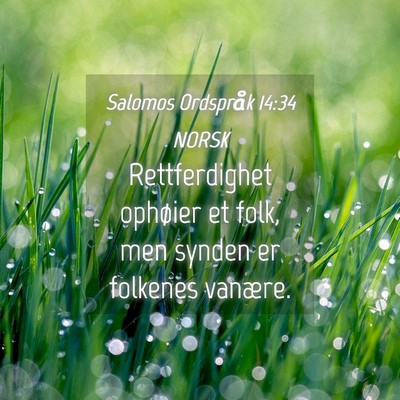 Picture 04 - Salomos Ordspråk 14:34 NORSK - Rettferdighet ophøier et folk, men synden er - Bible Verse Picture