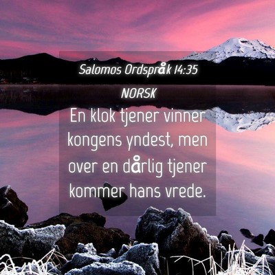 Picture 04 - Salomos Ordspråk 14:35 NORSK - En klok tjener vinner kongens yndest, men over en - Bible Verse Picture