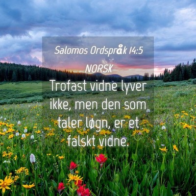 Picture 04 - Salomos Ordspråk 14:5 NORSK - Trofast vidne lyver ikke, men den som taler - Bible Verse Picture