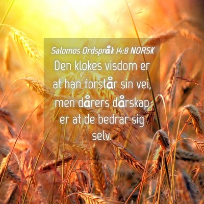 Picture 04 - Salomos Ordspråk 14:8 NORSK - Den klokes visdom er at han forstår sin vei, men - Bible Verse Picture