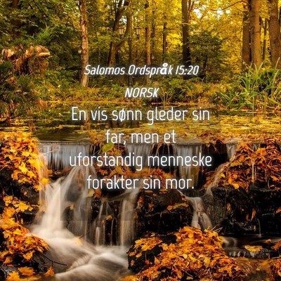 Picture 04 - Salomos Ordspråk 15:20 NORSK - En vis sønn gleder sin far, men et uforstandig - Bible Verse Picture