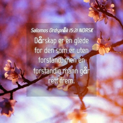 Picture 04 - Salomos Ordspråk 15:21 NORSK - Dårskap er en glede for den som er uten - Bible Verse Picture