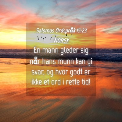 Picture 04 - Salomos Ordspråk 15:23 NORSK - En mann gleder sig når hans munn kan gi svar, og - Bible Verse Picture