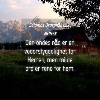 Picture 04 - Salomos Ordspråk 15:26 NORSK - Den ondes råd er en vederstyggelighet for - Bible Verse Picture