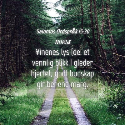 Picture 04 - Salomos Ordspråk 15:30 NORSK - ¥inenes lys {de. et vennlig blikk.} gleder - Bible Verse Picture