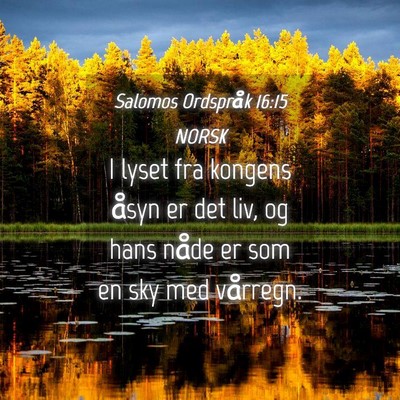 Picture 04 - Salomos Ordspråk 16:15 NORSK - I lyset fra kongens åsyn er det liv, og hans - Bible Verse Picture
